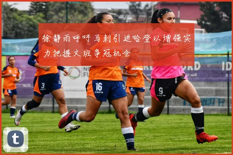 徐静雨呼吁马刺引进哈登以增强实力把握文班争冠机会