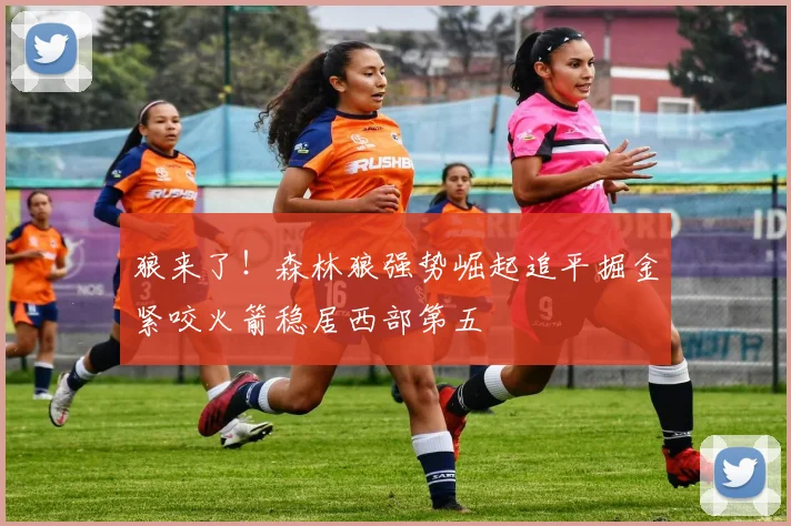 狼来了！森林狼强势崛起追平掘金紧咬火箭稳居西部第五