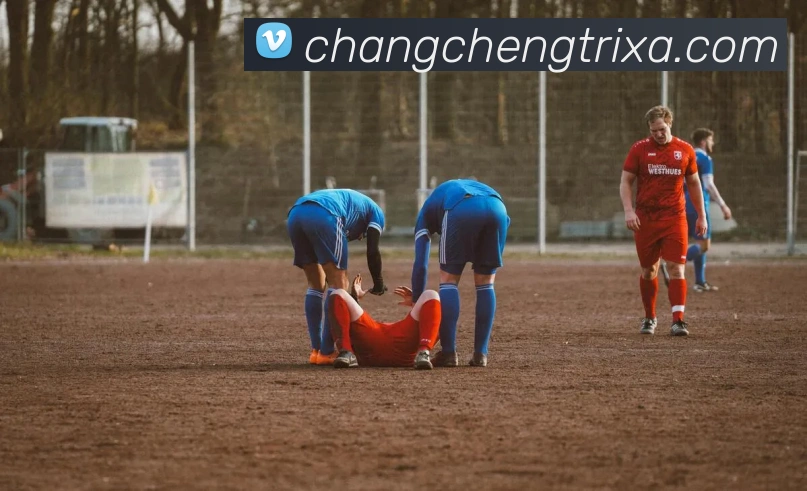 长城体育品牌故事