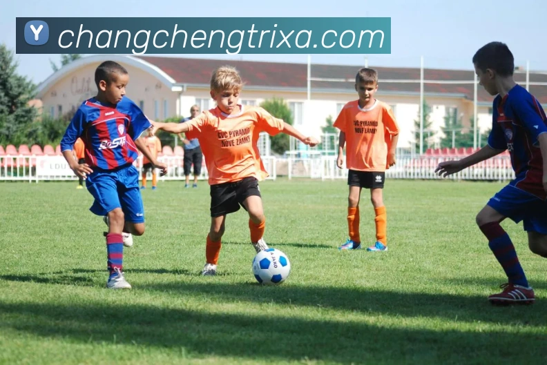 长城体育服务体系